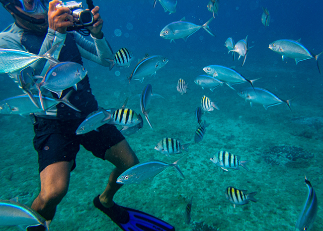 Gary taking a picture to the exotic marine species he saw with his friends.