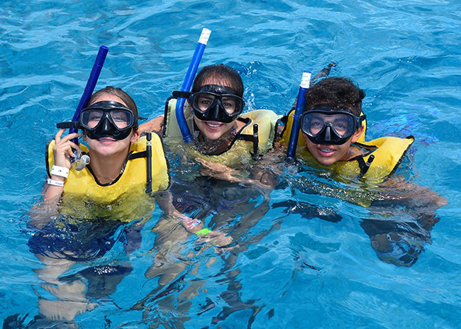 Playa Del Carmen Snorkeling Tours Book Today From 59 - 