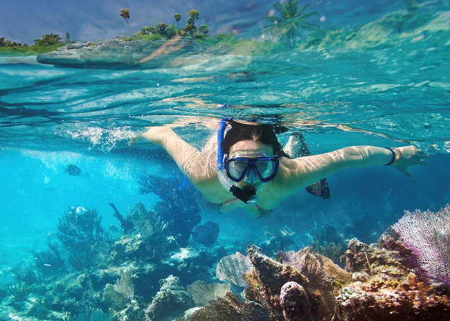 Dixie having a good time snorkeling in the island.