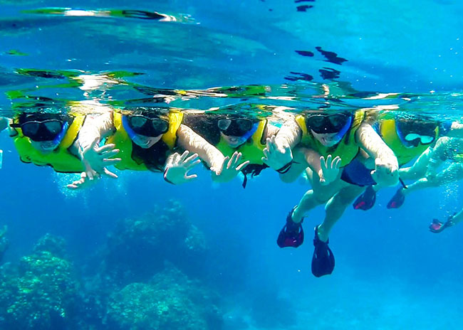 Playa del Carmen Snorkeling Tours: Book Today from $59