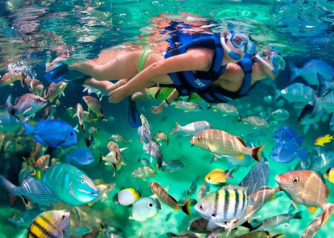 Joie and her boyfriend amazed by the colorful and vast fish they saw in the waters of Cozumel.