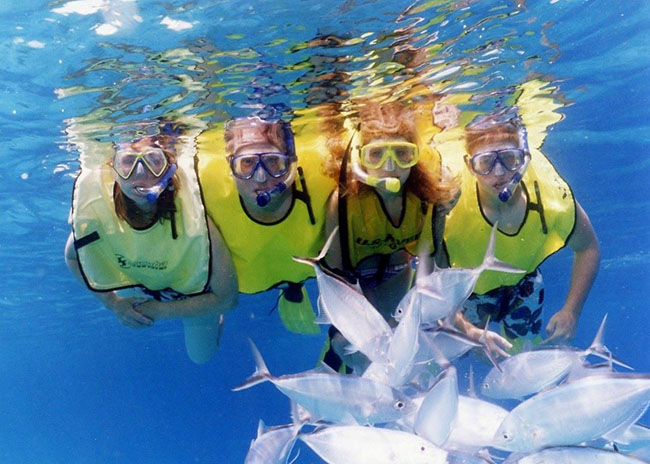 Jason and his family very excited seeing a group of fish during their snorkeling tour.