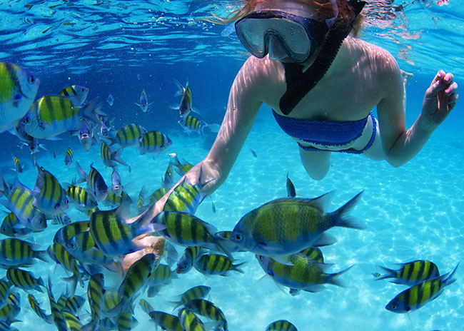 Mitzi seeing the colorful fish closely she found in the coral reef.